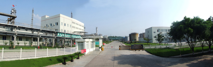 Z6·尊龙「中国区」官方网站股份