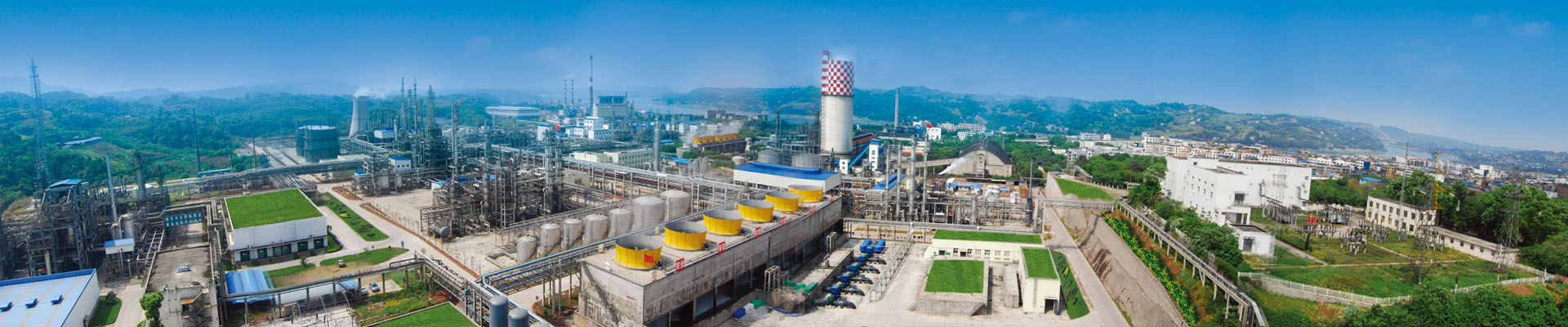 Z6·尊龙「中国区」官方网站集团党的建设